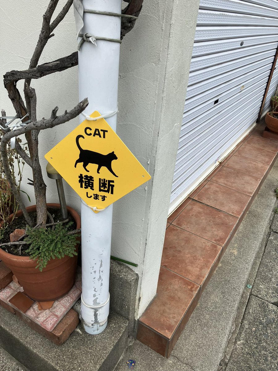 iufxf's tweet photo. 良い標識🐈‍⬛ https://t.co/h2B2YPht3P