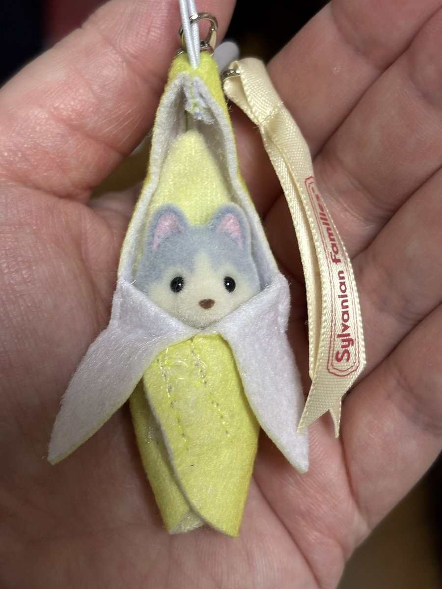saekira15's tweet photo. シルバニアめちゃかわいい…
かぶりものに弱いのか、バナナに包まれたハスキー���赤ちゃん買っちゃいました(*´`)♡
友達とツボった笑
それにしてもシルバニア結構高いよね…大人にならないとコレクションできんよ。 https://t.co/BfuKAJAa6G