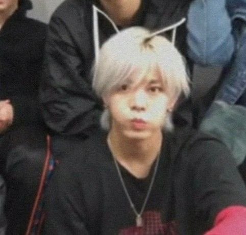 KqWOAYjf1pcvprq's tweet photo. 나 진짜 이 부이앱 너무 좋아해
진심 내애기 너무 처귀여워서 뽀뽀해줘야돼
세상이 울카모토 고양이인 거 공인해준 날 https://t.co/rFQoTATKgW