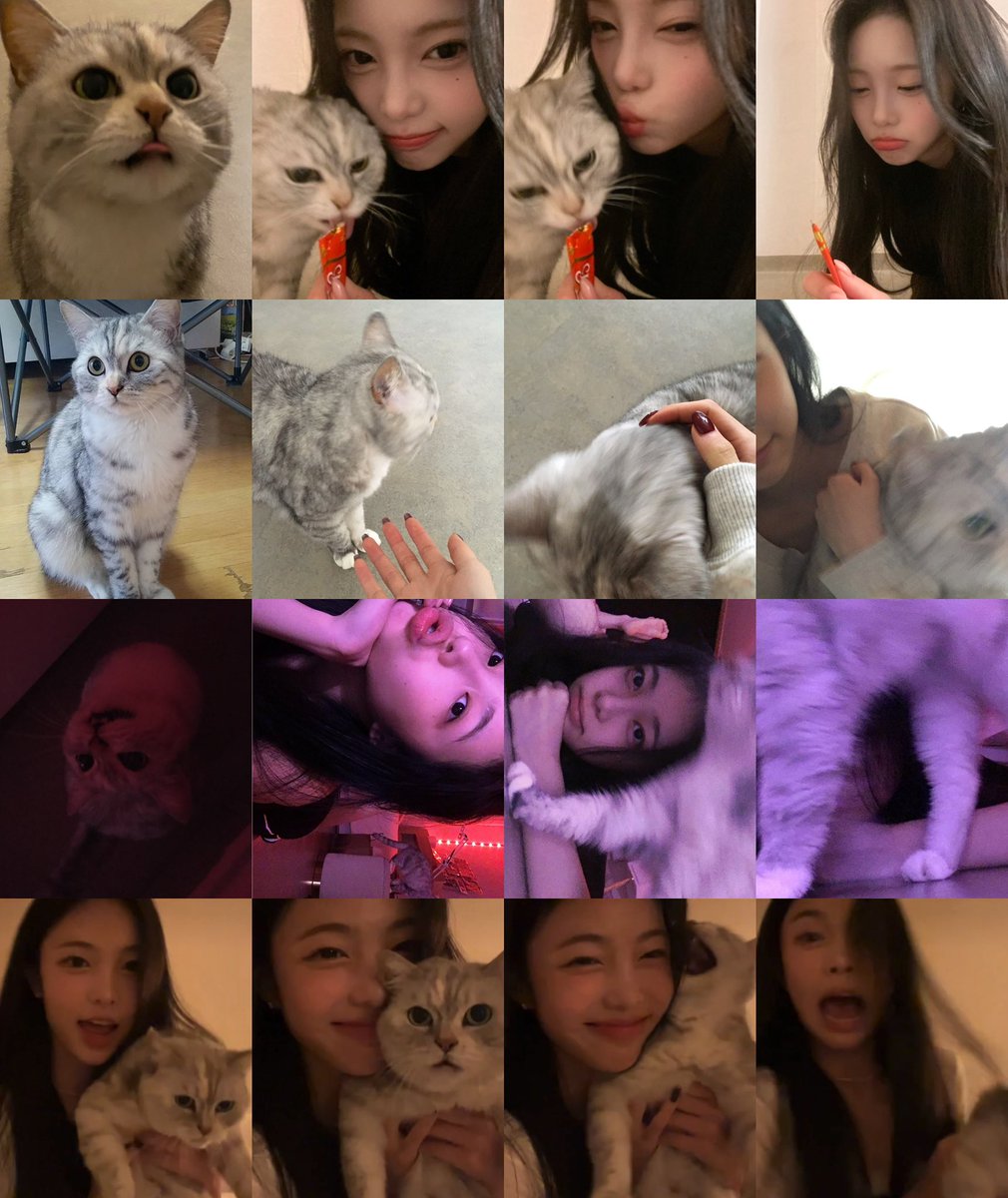 imnotachan's tweet photo. アルとイアンの写真パターンがいつも通り通常運転…笑🐱🤏🏻 https://t.co/kN1NtnSFSx