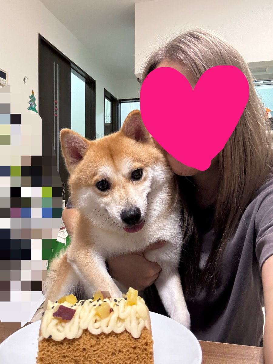 tae53537859's tweet photo. りくちゃん2さい！
おいものケーキでお祝い🎂
ものすんごいガッついてるのかわいすぎる♡ https://t.co/HJdVNrKlrp