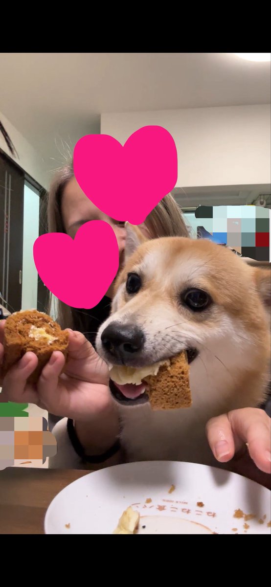 tae53537859's tweet photo. りくちゃん2さい！
おいものケーキでお祝い🎂
ものすんごいガッついてるのかわいすぎる♡ https://t.co/HJdVNrKlrp