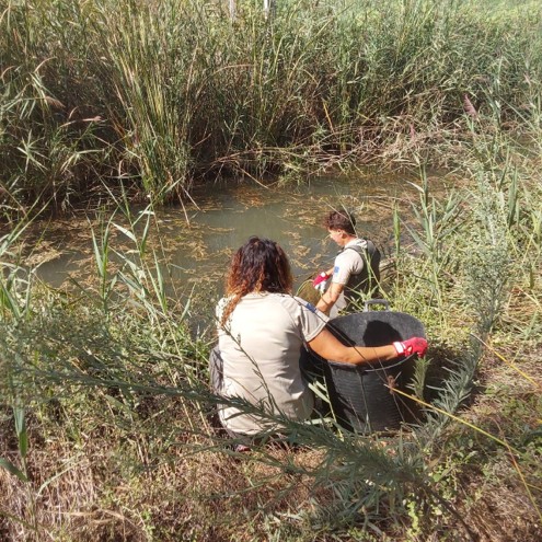 VaersaGva's tweet photo. 🌿 Control del jacint d’aigua al riu Girona! 💧🌱 / 🌿 ¡Control del jacinto de agua en el río Girona! 💧🌱https://t.co/8ALoFaL3ep https://t.co/xopi8HhiWB
