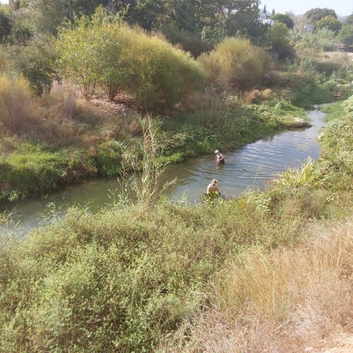 VaersaGva's tweet photo. 🌿 Control del jacint d’aigua al riu Girona! 💧🌱 / 🌿 ¡Control del jacinto de agua en el río Girona! 💧🌱https://t.co/8ALoFaL3ep https://t.co/xopi8HhiWB