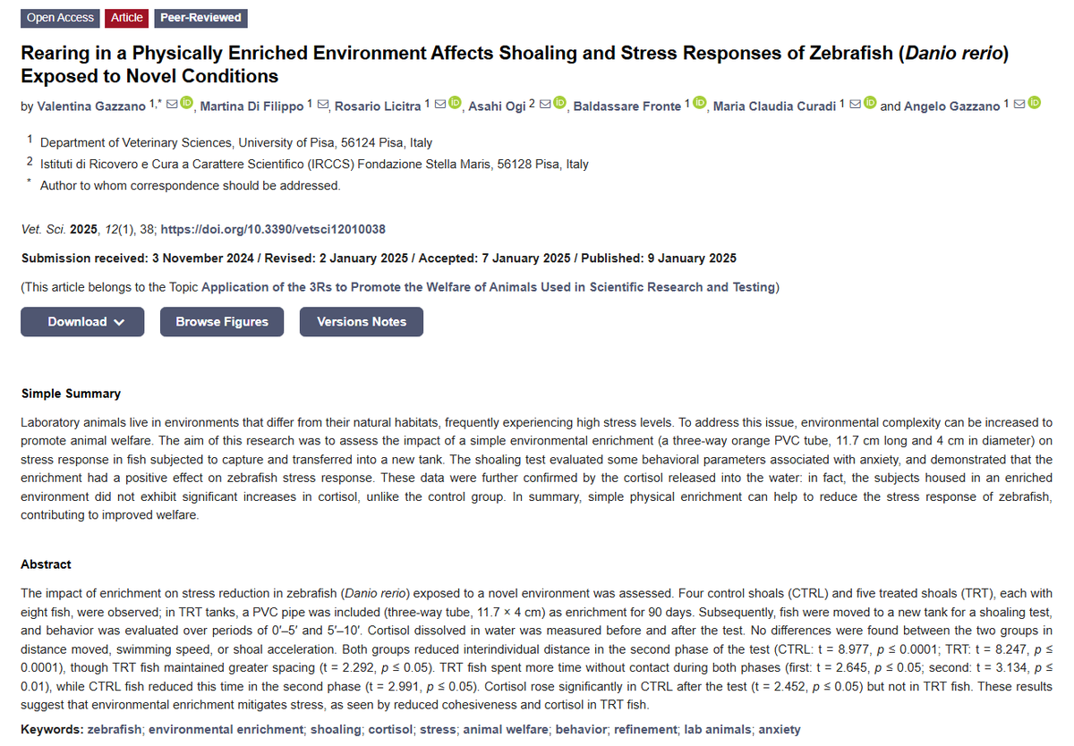 Vetsci_MDPI's tweet photo. 🐟Rearing in a Physically Enriched Environment Affects Shoaling and Stress Responses of Zebrafish (Danio rerio) Exposed to Novel Conditions
✍️by Valentina Gazzano et al.
🔗https://t.co/QyJ5u4J4hK
#Zebrafish #AnimalWelfare #3Rs #EnvironmentalEnrichment https://t.co/o3d3Xk9sJX