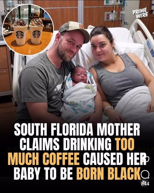 JamesTate121's tweet photo. Only in Florida. https://t.co/Bd8QxRkDTZ