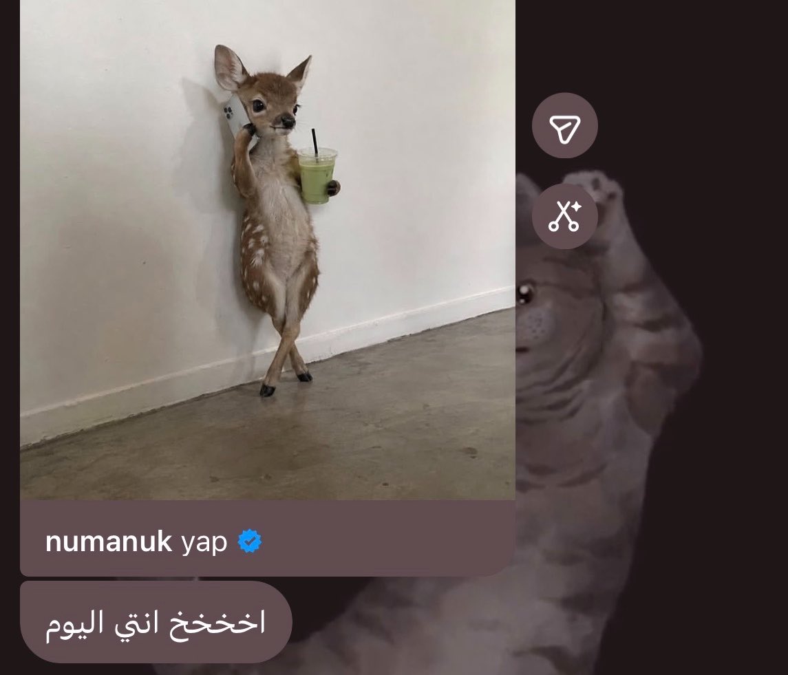 awonderingstarr's tweet photo. اتحداكم تعرفون الغزاله وين https://t.co/4Euuw3UNNG