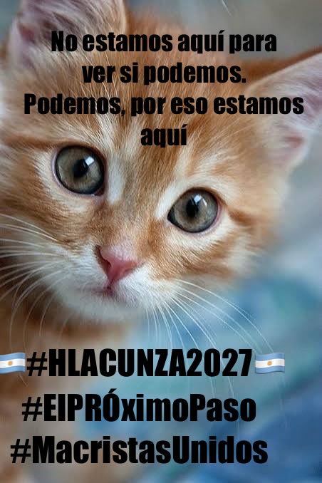 PlanariaLala's tweet photo. @macristasunidos @migeroli #HLacunza2027🇦🇷 PRESIDENTE
#MacristasUnidos🌟
#SomosDistintos💛
Por un país con lugar, respeto y dignidad para cada habitante. El PRÓximo paso es el que nos sacará de donde estamos para acercarnos a la versión que merecemos. https://t.co/L8S0qYPqrP