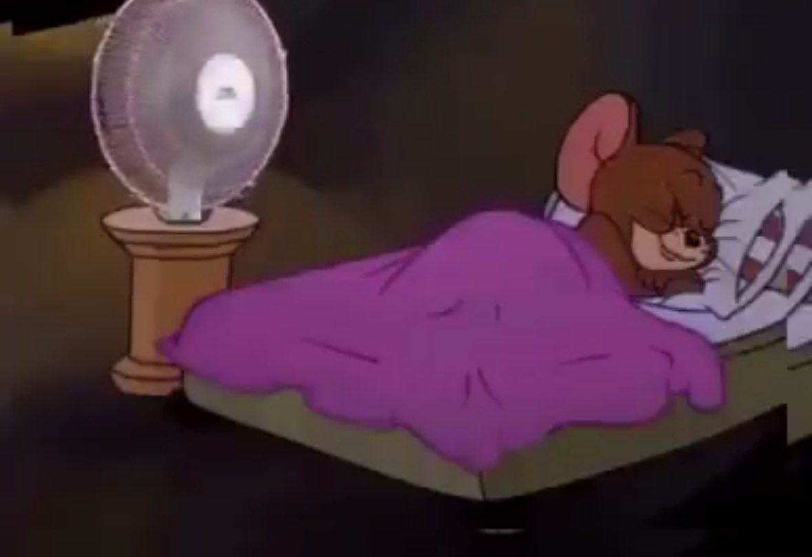 Tweetdusoir__'s tweet photo. Si tu dors l'après-midi, tu ne dormiras pas la nuit

Moi l'après-midi et le nuit : https://t.co/pYWu2JprD2