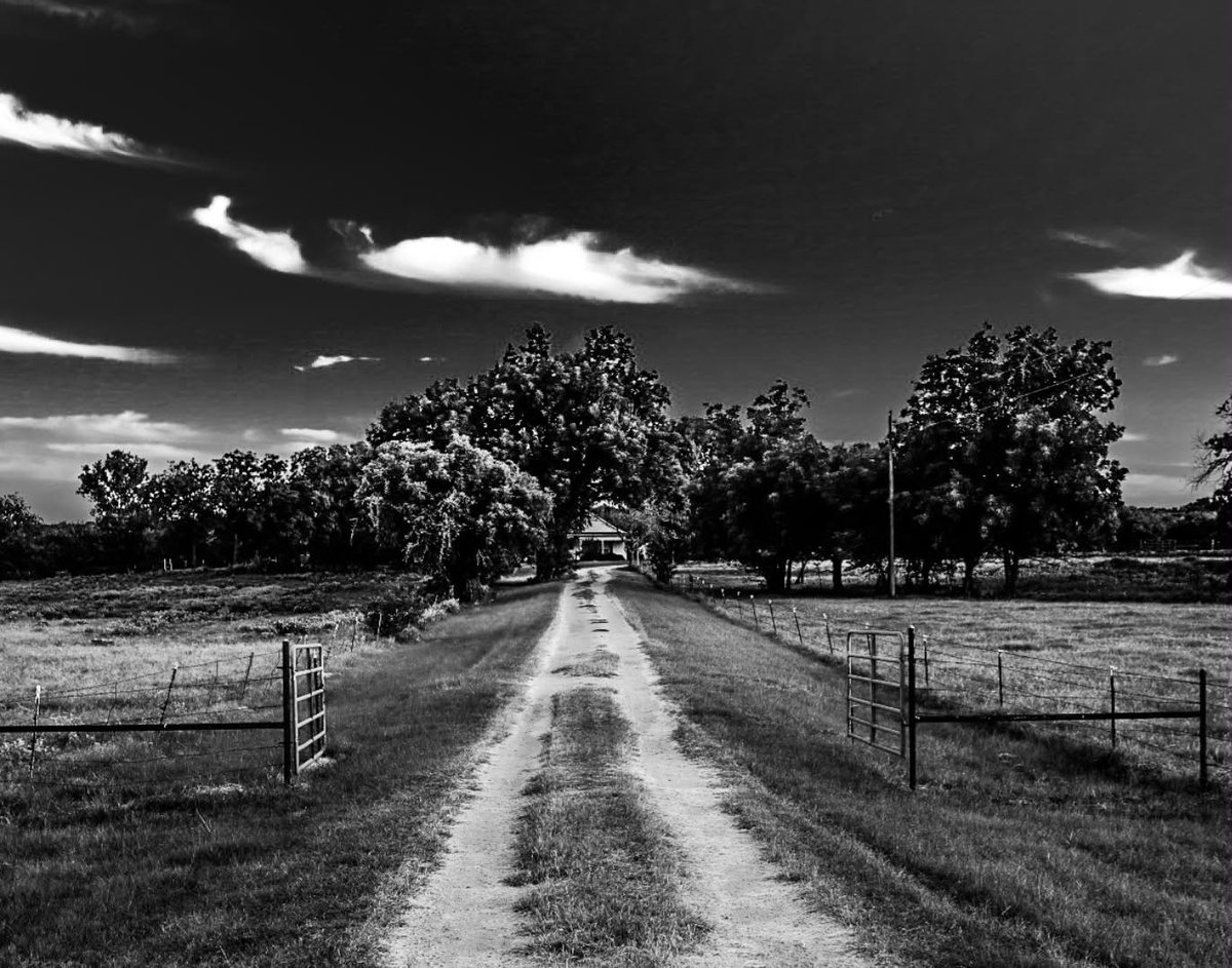 MalikaEsser's tweet photo. do we ever truly arrive anywhere or just keep walking until the distance feels familiar... 🍃 https://t.co/zTyt6Z2fmr