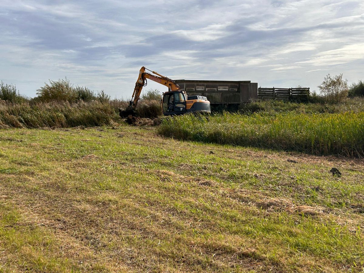 LDV_NNR's tweet photo. Whilst the site remains dry we have been able to help out our partners @YorksWildlife with the de-silting of the scrape at Swantail Hide at Wheldrake Ings – still more to do but it's already looking good, and is now more likely to hold water next summer if another drought occurs. https://t.co/ldxX3Hhv4s