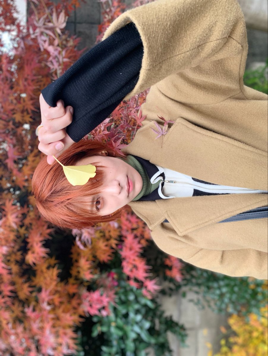 meiku_harukawa's tweet photo. のびのびしきれない表現については、人のためにご制御いただきありがとう🙏😌💌www https://t.co/lmFjymMgeN