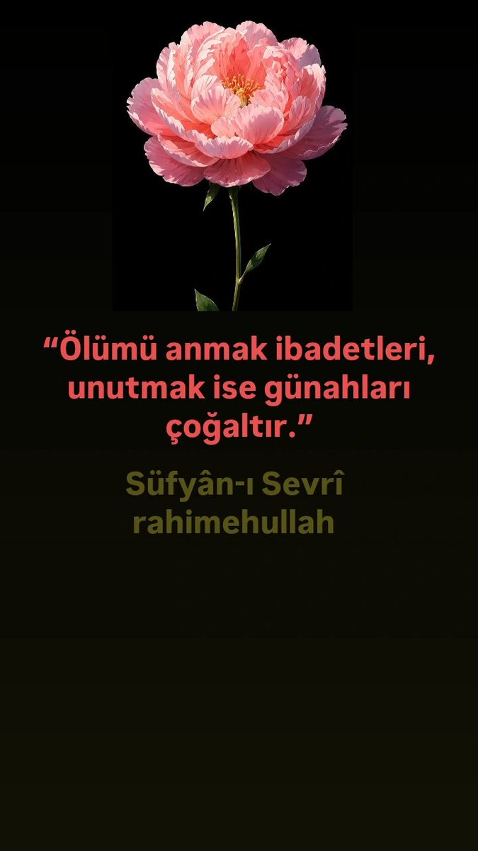DilekSakay2's tweet photo. https://t.co/Ev8OMoWZjd