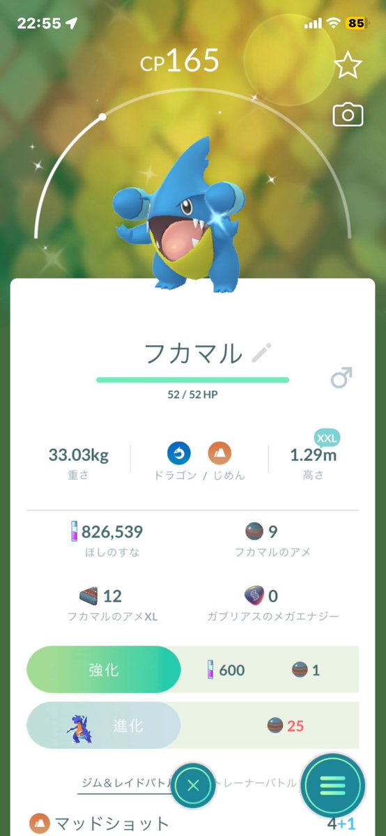Syogaaaaaa's tweet photo. @AIeCsCMlXV80661 初めまして。
リ��ートです！
この子達ならどのポケモンが交換可能ですか？ https://t.co/oZ7aUQ9OsV