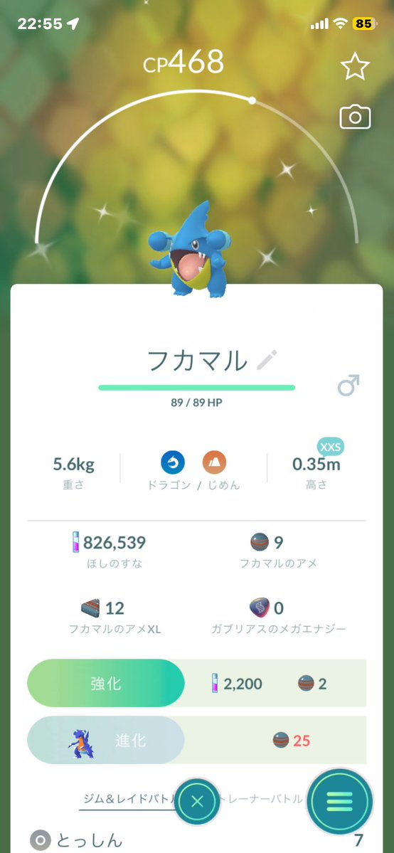 Syogaaaaaa's tweet photo. @AIeCsCMlXV80661 初めまして。
リ��ートです！
この子達ならどのポケモンが交換可能ですか？ https://t.co/oZ7aUQ9OsV