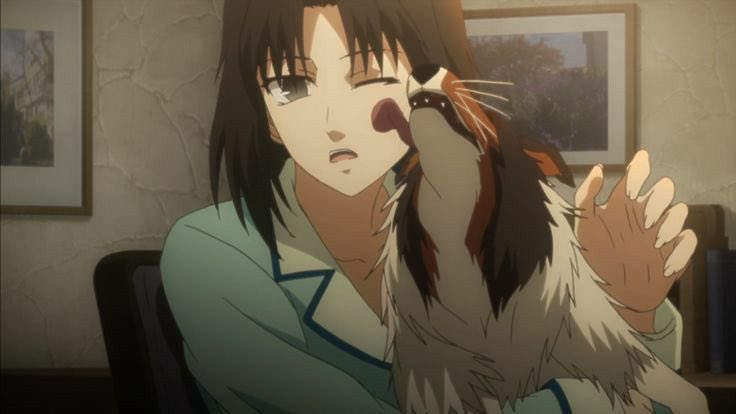 shikiSAme1980's tweet photo. 両儀式が見放題！
Watch Shiki Ryougi to your heart's content.
#空の境界 https://t.co/rGNlWqXyBE