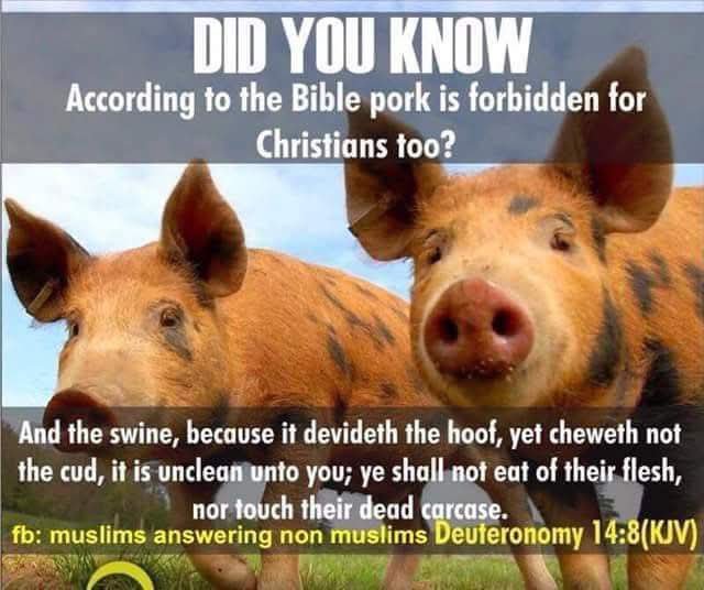 halalfury26's tweet photo. @HalalNation_ Majority of Today's Christians✝ are Baal worshippers, who follows Paul not Jesus (PBUH) https://t.co/aU5PVhiHKC