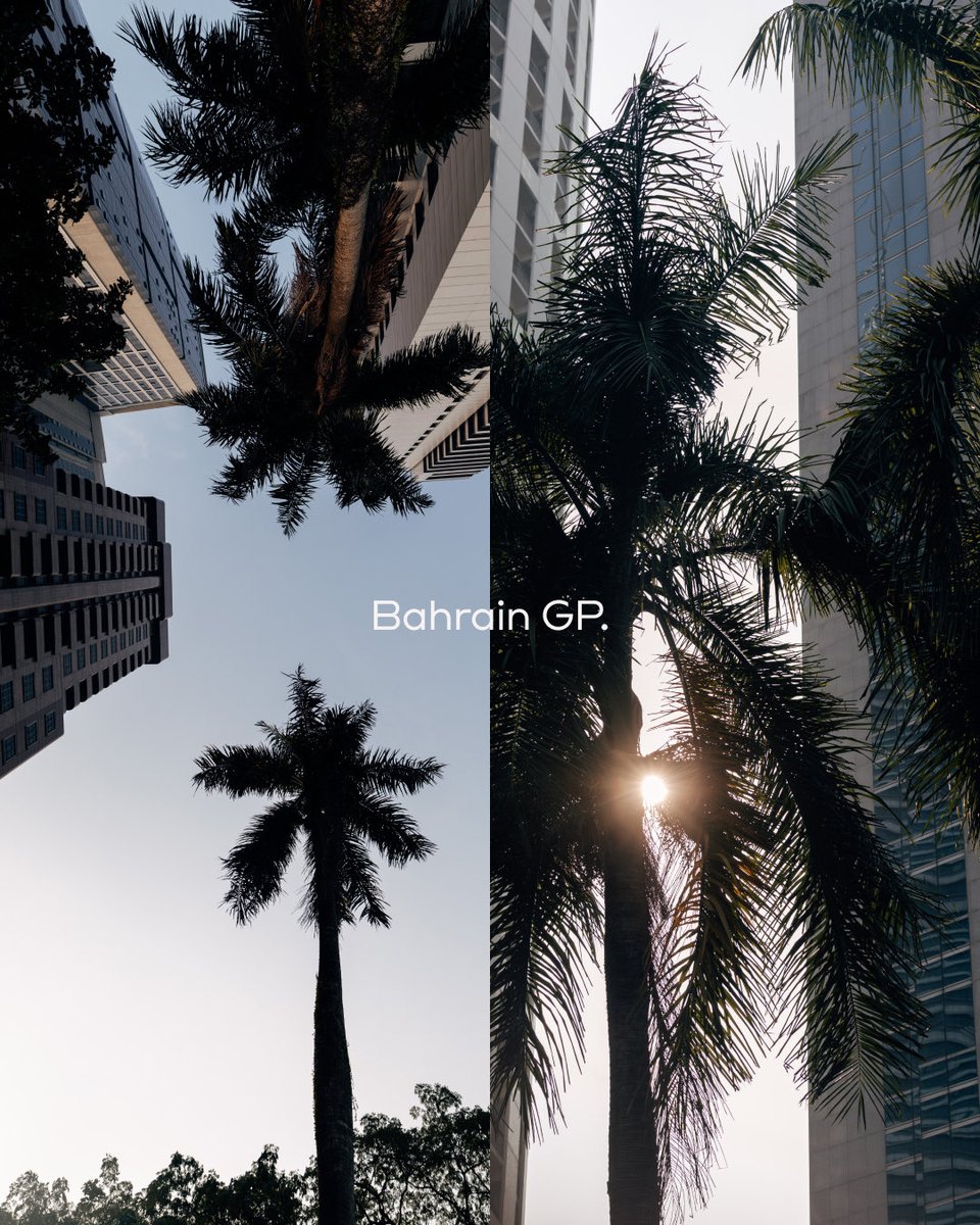 audif1_'s tweet photo. Never thought we'd have rainforest instead of desert sand at the Bahrain GP. 😮‍💨 https://t.co/UXbOMXHwA4