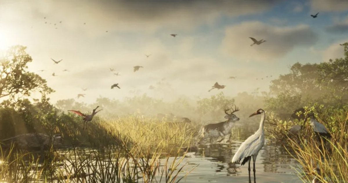 GTA6Digest's tweet photo. GTA VI will feature more than 170 animal species across Leonida 

That includes over 60 bird species and more than 30 land mammals, along with plenty of fish, reptiles and other wildlife.

Rockstar VP of Dynamic Art Michael Kane also confirmed manatees, flamingos and pelicans - with alligators already shown in previous footage.

And some of these animals have never appeared in a Rockstar game before.