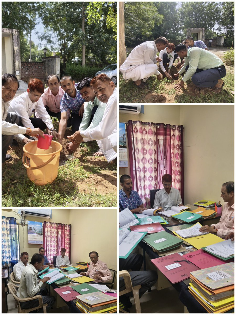 lcipmcnagaur's tweet photo. As part of the Swachhata Hi Seva campaign, LCIPMC Nagaur conducted a plantation drive &amp; file/document review activities, promoting cleanliness, environmental responsibility, and efficient record Mgt.🇮🇳
#SwachhataHiSeva #CleanIndia #PlantationDrive #LCIPMCNagaur #SwachhBharat https://t.co/kblJnIEsqk