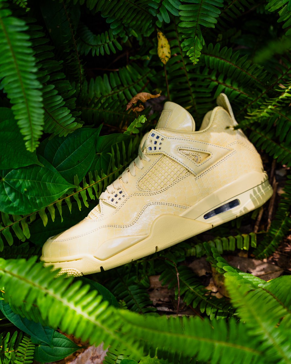 menscloset407's tweet photo. The vibrant J Balvin x Air Jordan 4 Retro OG SP Amazonas officially touches down this Friday, October 2, 2026 at 10:00 AM. ☀️Translating the extraordinary biodiversity of Colombia into a premium sneaker.

Hit our bio link to cop your pair!

#AirJordan4 #AJ4Amazonas #JBalvinJordan https://t.co/6R9BYEtgne