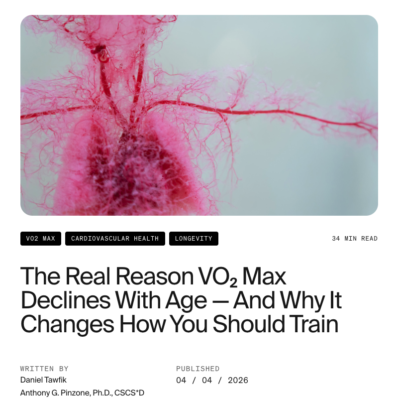dantawfik's tweet photo. VO2 max drops 46% from age 20 to 70, but cardiac output only falls 31%. The gap between those numbers reveals something unexpected about where aging really happens.

For decades, the dominant explanation for declining aerobic capacity with age centered on the cardiovascular system. Your heart beats slower, pumps less blood per beat, and delivers less oxygen to working muscles. This narrative made intuitive sense and aligned with the most visible changes of aging.

But new research quantifies a different story. The limitation isn't just about oxygen delivery. It's increasingly about what happens after the blood arrives at muscle tissue.

VO2 max represents the maximum rate your body can consume oxygen during all-out exercise. It's one of the strongest predictors of longevity and functional independence as we age. Beginning around age 30, it drops roughly 10% per decade in sedentary people.

The Fick equation breaks down what determines VO2 max:

VO2 max = Cardiac Output × Arteriovenous Oxygen Difference

Cardiac output is how much blood your heart pumps per minute. The arteriovenous oxygen difference, or a-vO2 difference, measures how much oxygen your muscles extract from that blood.

This equation splits the aging story into two parts: central factors (heart and lungs delivering oxygen) and peripheral factors (muscles extracting and using oxygen).

Central limitation comes from declining maximal heart rate, which drops about one beat per minute per year after age 20, and reduced stroke volume as the heart stiffens and large arteries lose elasticity.

Peripheral limitation comes from changes in skeletal muscle itself: mitochondrial density and function, capillary networks that deliver blood to muscle fibers, muscle mass, and the enzymes that drive oxidative metabolism.

The new analysis reveals that by late middle age, nearly half of the limitation on VO2 max originates in the periphery, not the cardiovascular system.

In younger adults, approximately 77% of the total limitation is central and 23% peripheral. Your heart and oxygen delivery system are the primary bottleneck.

In older adults, that shifts to roughly 56% central and 44% peripheral. The muscles are catching up to the heart as a source of failure.

The most striking finding: oxygen extraction capacity falls dramatically with age. Skeletal muscle extracts roughly 80% of delivered oxygen at maximal effort in young adults. By ages 75 to 80, that figure drops to approximately 60%.

That's a 20 percentage point decline in the muscle's ability to use the oxygen the cardiovascular system is still delivering.

Four converging biological processes drive this peripheral decline:

1. Sarcopenia preferentially strips away type II muscle fibers, which are rich in mitochondria and oxidative capacity. You lose not just muscle mass, but specifically the muscle tissue most capable of using oxygen.

2. Mitochondrial density and efficiency decline. Mitochondria become fewer in number, smaller in size, and less effective at converting oxygen into usable energy through ATP production.

3. Capillary rarefaction thins the networks of small blood vessels threading through muscle tissue. Fewer capillaries mean longer distances for oxygen to diffuse from blood to muscle cells, creating a bottleneck at the delivery endpoint.

4. Interstitial changes in the space between capillaries and muscle cells further impair oxygen movement. Changes in tissue structure and composition slow the final step of oxygen's journey into working muscle.

None of these is catastrophic alone. Together, they compound into something substantial that previous research underemphasized by focusing primarily on cardiac decline.

Here's what matters for intervention:

• The peripheral factors driving VO2 max decline (mitochondria, capillaries, oxidative enzymes) remain responsive to training well into later decades of life

• Endurance training produces the most reliable capillary growth: 13.3% increase in capillary density and 15% increase in capillary-to-fiber ratio over 8-10 weeks

• High-intensity interval training (HIIT) delivers comparable mitochondrial gains to endurance training but requires substantially less total time, estimated at 1.7x more time-efficient

• Sprint interval training (SIT) generates the fastest mitochondrial signal per minute of any modality, producing 3-5x greater VO2 max improvement per hour of exercise, though it doesn't significantly increase capillary density

• Meaningful adaptation begins within two weeks. Roughly 13.7% of total mitochondrial gains from an endurance block occur in the first 14 days

• The biological machinery that aging erodes is the same machinery that training can partially rebuild, even in the seventh and eighth decades of life

The practical implication: maintaining VO2 max with age isn't just about keeping your cardiovascular system fit. You need training that specifically targets peripheral adaptations, the cellular machinery inside muscle tissue that extracts and uses oxygen.

That means prioritizing exercise intensity that creates metabolic stress sufficient to trigger mitochondrial remodeling and capillary growth. Moderate-intensity steady-state exercise improves cardiovascular fitness but generates weaker peripheral adaptation signals than high-intensity work.

The framework also explains why training becomes more important, not less, as you age. When you're 25 and 77% of your VO2 max limitation is central, peripheral decline happens quietly in the background. By 65, when peripheral factors account for nearly half the limitation, those quiet changes have accumulated into the primary driver of functional decline.

The decisions made in the fourth and fifth decades of life shape the physiological ceiling of the seventh and eighth. Aerobic aging is a slow, cumulative process affecting multiple systems simultaneously. So is the adaptive response to training.

The most important variable isn't the perfect training modality. It's consistency across the decades during which the oxygen cascade is quietly remodeling in one direction or the other.