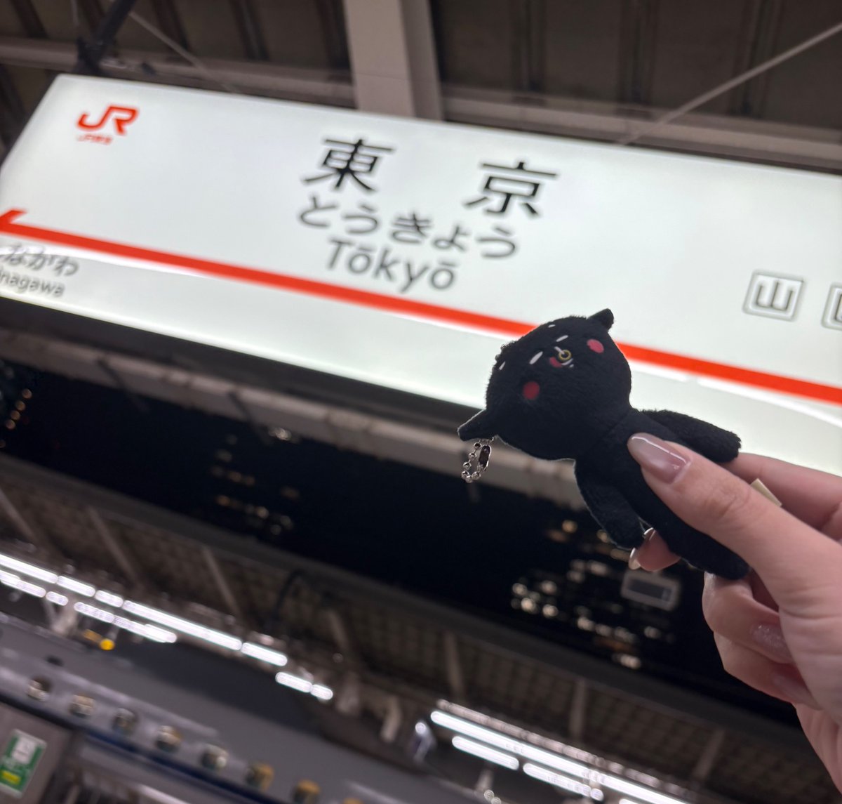 kinasuke__'s tweet photo. ただいまん🫪🫪🫪🫪 https://t.co/JKuZF0cg98