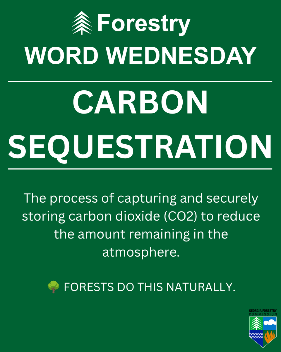 GaTrees's tweet photo. 🌲📖 #ForestryWordWednesday: CARBON SEQUESTRATION

It’s the process of capturing &amp; securely storing CO₂, reducing the amount remaining in the atmosphere.

🌳 Forests do it naturally as growing trees absorb CO₂ and store carbon in their biomass and soils. https://t.co/T0uYRxd8pW