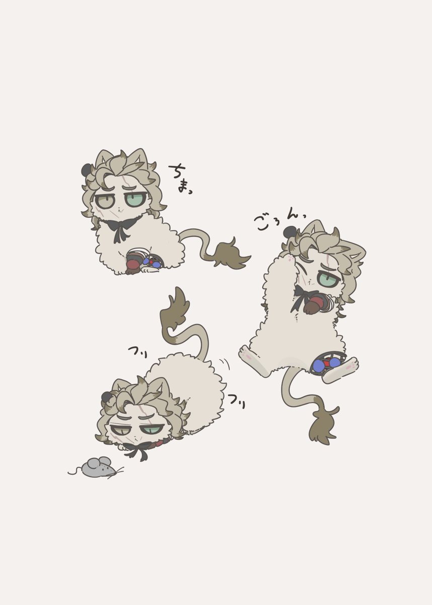 Gohanno_okoge's tweet photo. 🐱🎱 https://t.co/f4ExRCPwxI