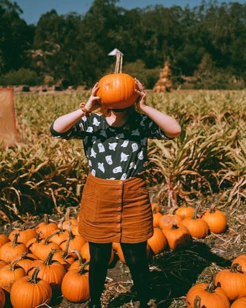 MalvaMarosa's tweet photo. @levopy_ Maybe something pumpkin-y? And the pumpkin face can be interchangable~ https://t.co/YSTouTDONv