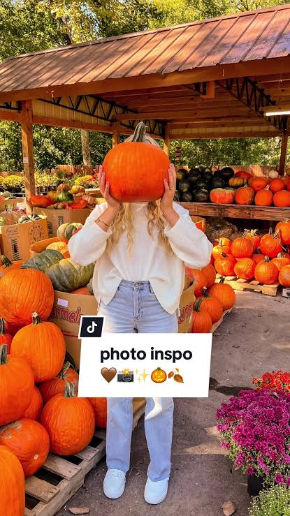 MalvaMarosa's tweet photo. @levopy_ Maybe something pumpkin-y? And the pumpkin face can be interchangable~ https://t.co/YSTouTDONv