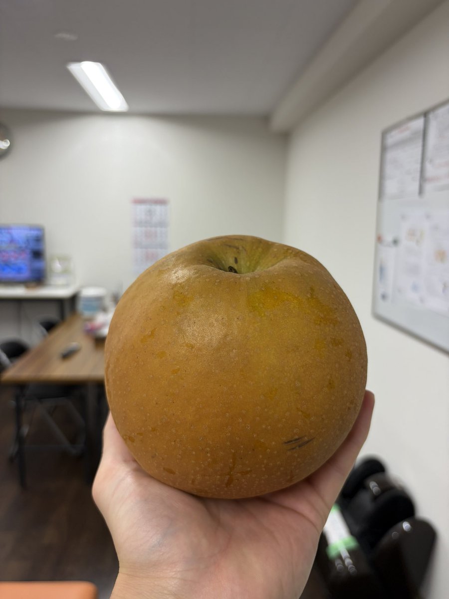 hyon0424's tweet photo. もう梨の季節が終わってしまう🍐 https://t.co/kN2ewKKkf4