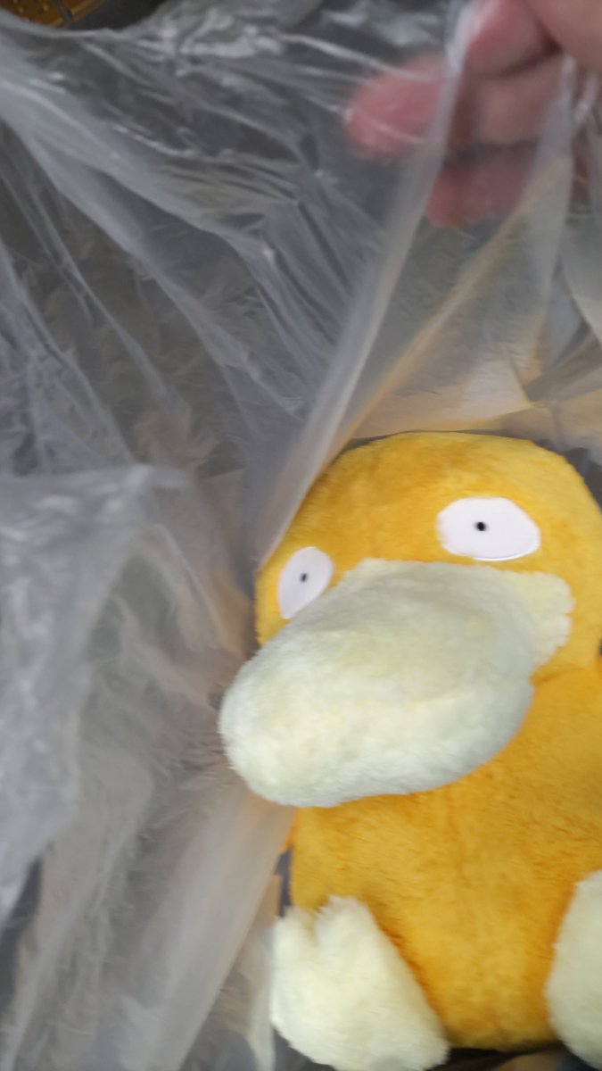 kawaiyarabbit's tweet photo. さらに増えた https://t.co/SYPgrJIG41