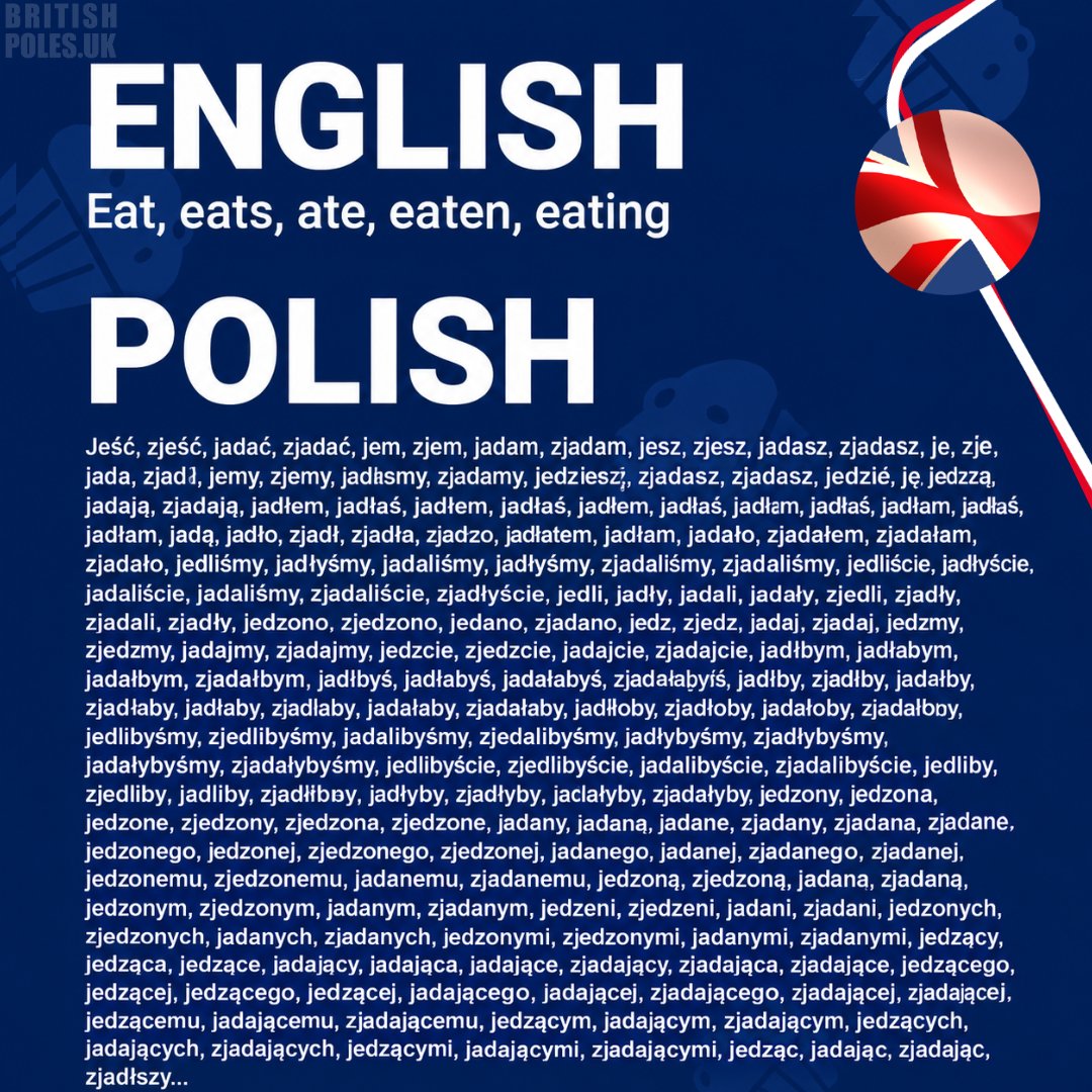 britishpoles's tweet photo. Today marks International Translation Day. 
Is Polish a difficult language to learn? Have you ever tried learning it? https://t.co/wSaXGkF2zr