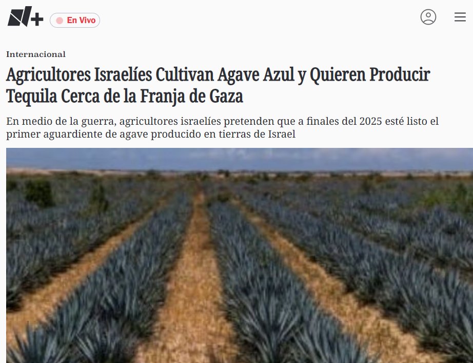 DisfrutaLoVota's tweet photo. Amable recordatorio de que los jabones no desaprovechan oportunidad para plagiar, robar y lucrar lo que no es suyo, claro, victimizándose SIEMPRE en el proceso.

(no verán una sola redacción de "periodismo" en contra de esta realidad, los llaman "innovadores"): https://t.co/y9grCWy8ZY