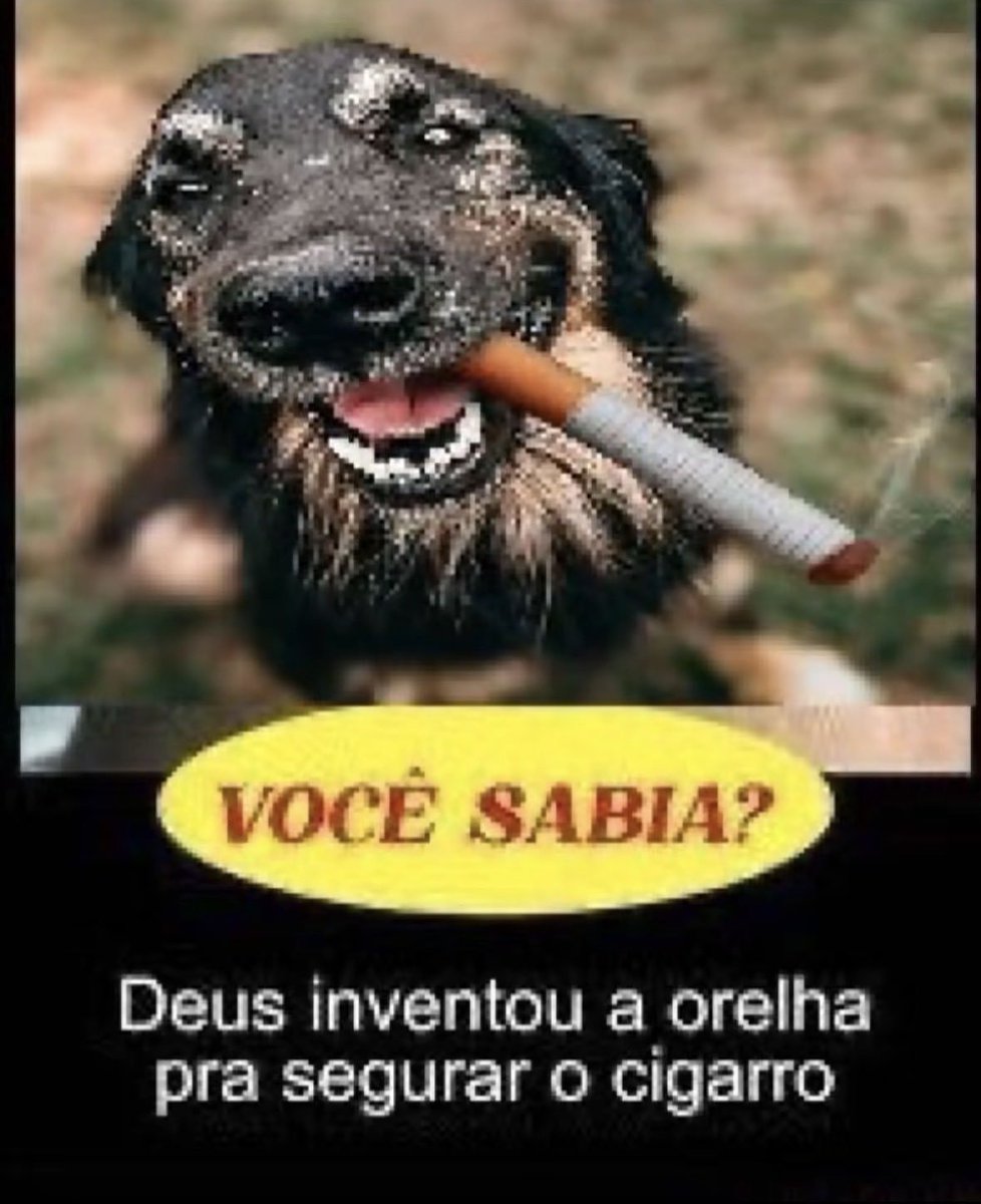 ootavioreiss's tweet photo. @shadowbezalel17 @whosweeknd Nenhum, tenho problema com qm eh burro msm https://t.co/8rophCsJuI