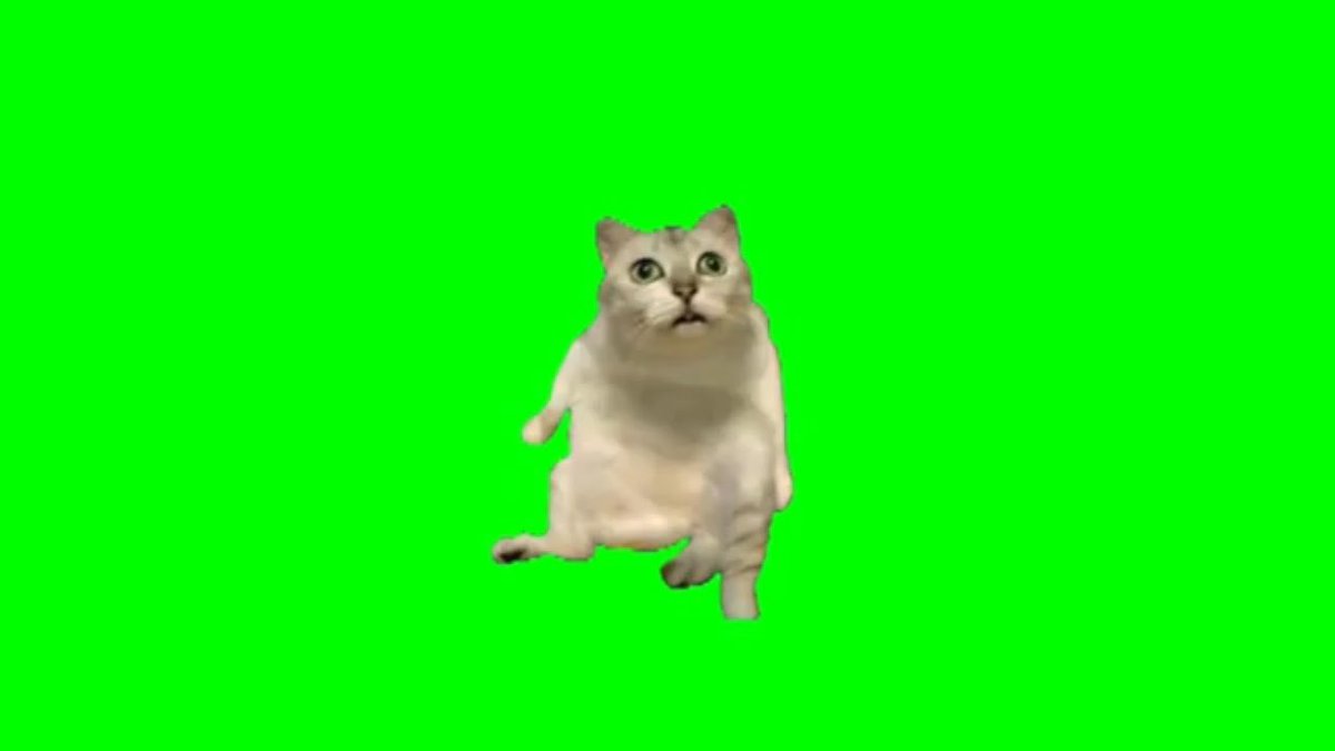 310nya__'s tweet photo. 数週間前のDMに気付いた私 https://t.co/Pk4iqNflD8
