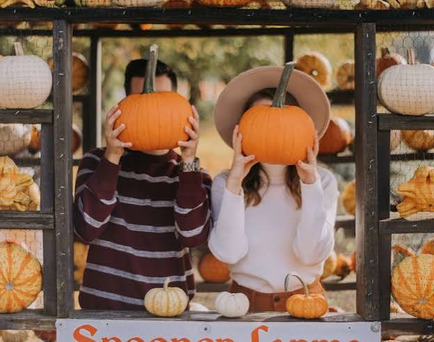 MalvaMarosa's tweet photo. @levopy_ Maybe something pumpkin-y? And the pumpkin face can be interchangable~ https://t.co/YSTouTDONv