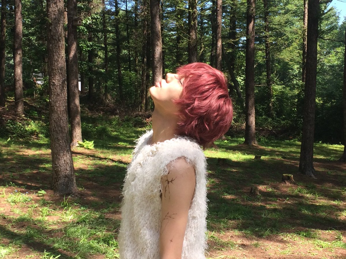 lotusboywoo's tweet photo. Debuting my new hair colour!! ◝(ᵔᗜᵔ)◜ https://t.co/95Fvufd8lt
