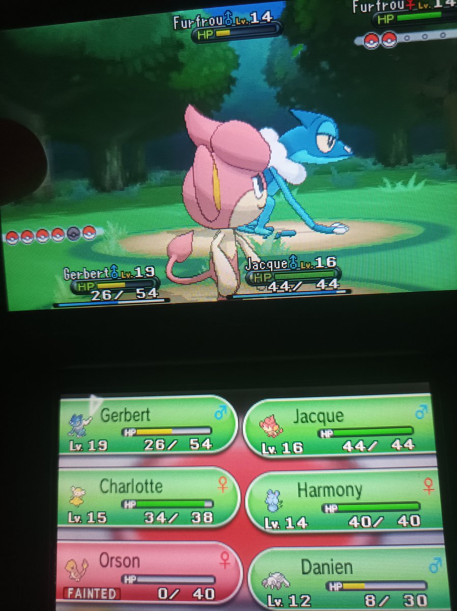 HeyWhazzat's tweet photo. Route 6 Encounter; Nincada (Damien)
Route 6 Ambush; Venipede (Ankh)
Route 7 Encounter; Furfrou (Tense O' Dig )
I actually told to a Friend of mine i wanted Nincada, and look at that LOL. Also, Orson the Charmander died because 2 Furfrous Ganged up on him with Headbutt... https://t.co/7zegZfr7fY