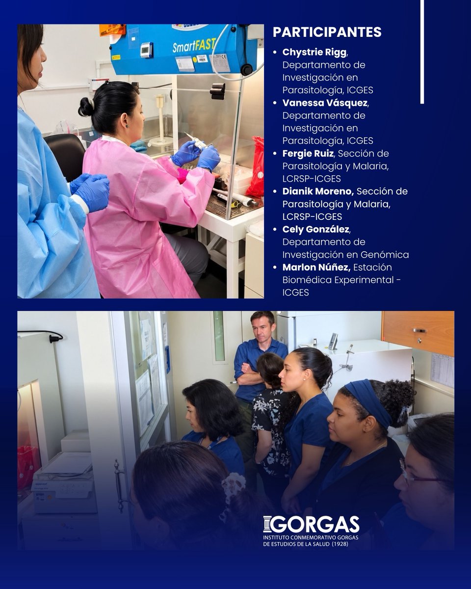 InstitutoGorgas's tweet photo. 🧬 ICGES impulsa la vigilancia genómica de la malaria en Panamá

El Instituto Conmemorativo Gorgas de Estudios de la Salud (ICGES) desarrolla del 28 de septiembre al 2 de octubre el taller “Monitoreo de Plasmodium vivax: Taller de vigilancia genómica empleando PvCRiSP”, con la participación de especialistas de la Universidad de Harvard, encabezados por el Dr. Daniel Neafsey.

Durante cinco días, investigadores y profesionales del ICGES trabajarán en el análisis de 126 muestras de Plasmodium vivax mediante el protocolo PvCRiSP, basado en secuenciación de amplicones, y tecnología Illumina, combinando sesiones teóricas y prácticas de laboratorio.

La capacitación tiene como propósito implementar este protocolo en el ICGES, ampliando las capacidades institucionales para apoyar la vigilancia genómica de la malaria en Panamá y generar información científica útil para la salud pública.

La actividad cuenta con la organización y acompañamiento de José E. Calzada, Alexander Martínez y el equipo del Departamento de Investigación en Genómica, junto a profesionales de Parasitología, LCRSP y otras áreas del Instituto.

#ICGES  #InvestigaciónCientífica  #Genómica  #Malaria #PlasmodiumVivax  #VigilanciaGenómica #SaludPública  #CooperaciónCientífica