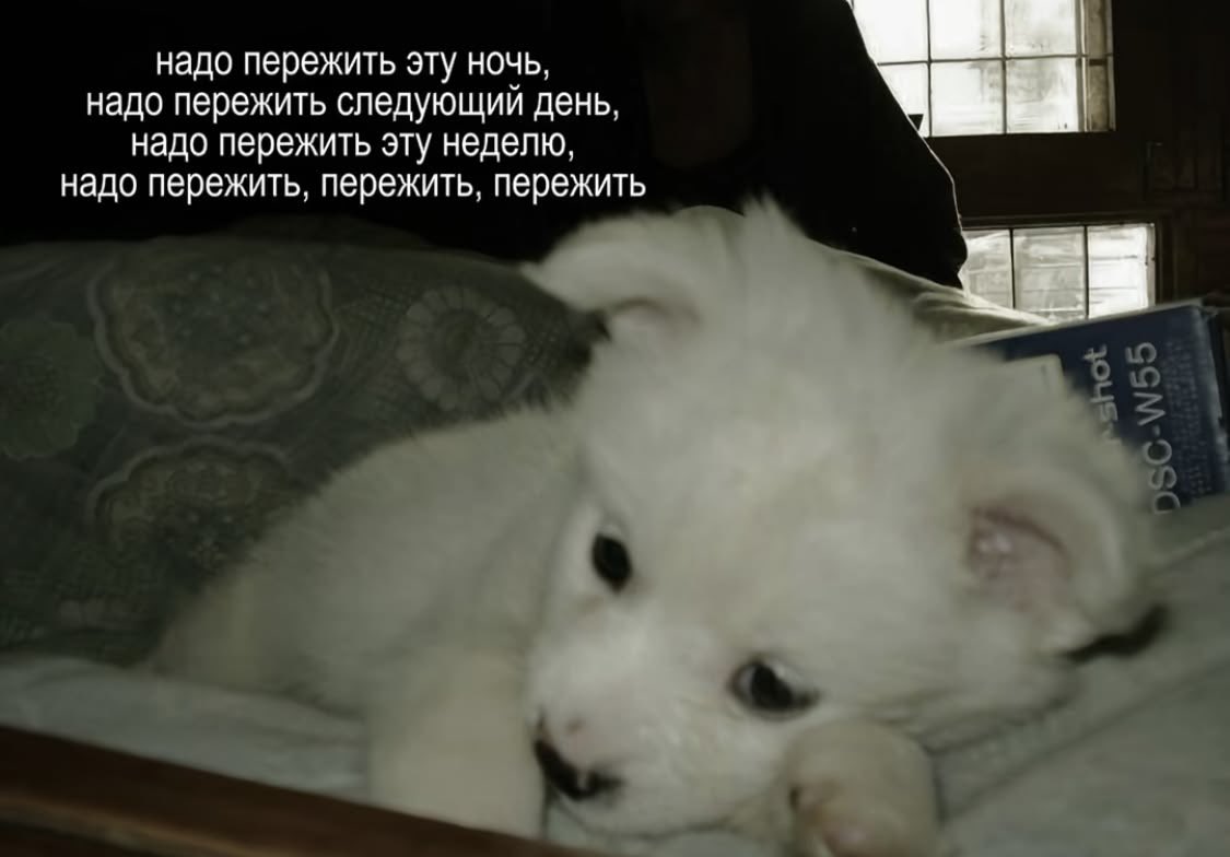 ataydx's tweet photo. единственное что у меня будет в голове ближайшие 6 месяцев https://t.co/e66YLu9Khg