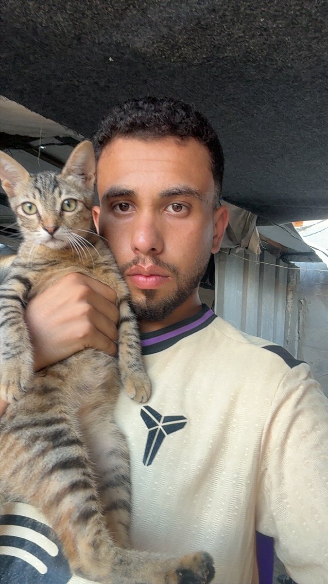 Mo7mmd30's tweet photo. My cats and i are still alive here in Gaza🇵🇸 https://t.co/2rT9lnF4r2