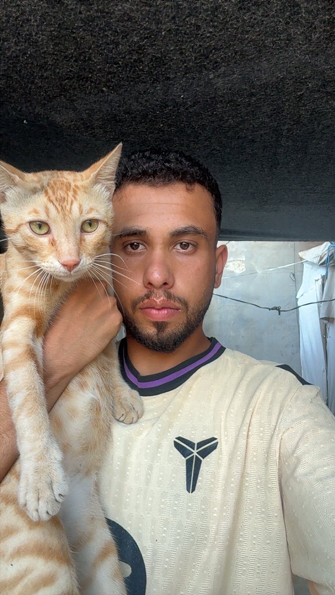 Mo7mmd30's tweet photo. My cats and i are still alive here in Gaza🇵🇸 https://t.co/2rT9lnF4r2
