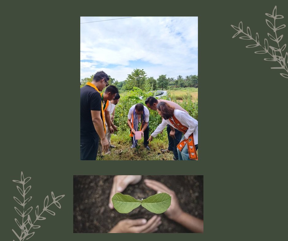 BJPMahilaDim's tweet photo. 🌱 Seva Sankalp Abhiyan | Tree Plantation Drive 🌱

BJP Mahila Morcha, Dimapur District, proudly participated in the Tree Plantation Drive held at State Stadium, Dimapur, on 30th September 2026, as part of the Seva Sankalp Abhiyan.
#Sevasanklapabhiyan 
@BJP4India @BJP4Nagaland https://t.co/M7rGJHqvRd