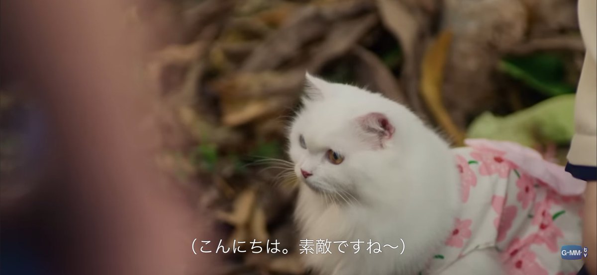 Ib0ter0's tweet photo. 知らんカプのBL見るときこれ https://t.co/azKndhtUKA