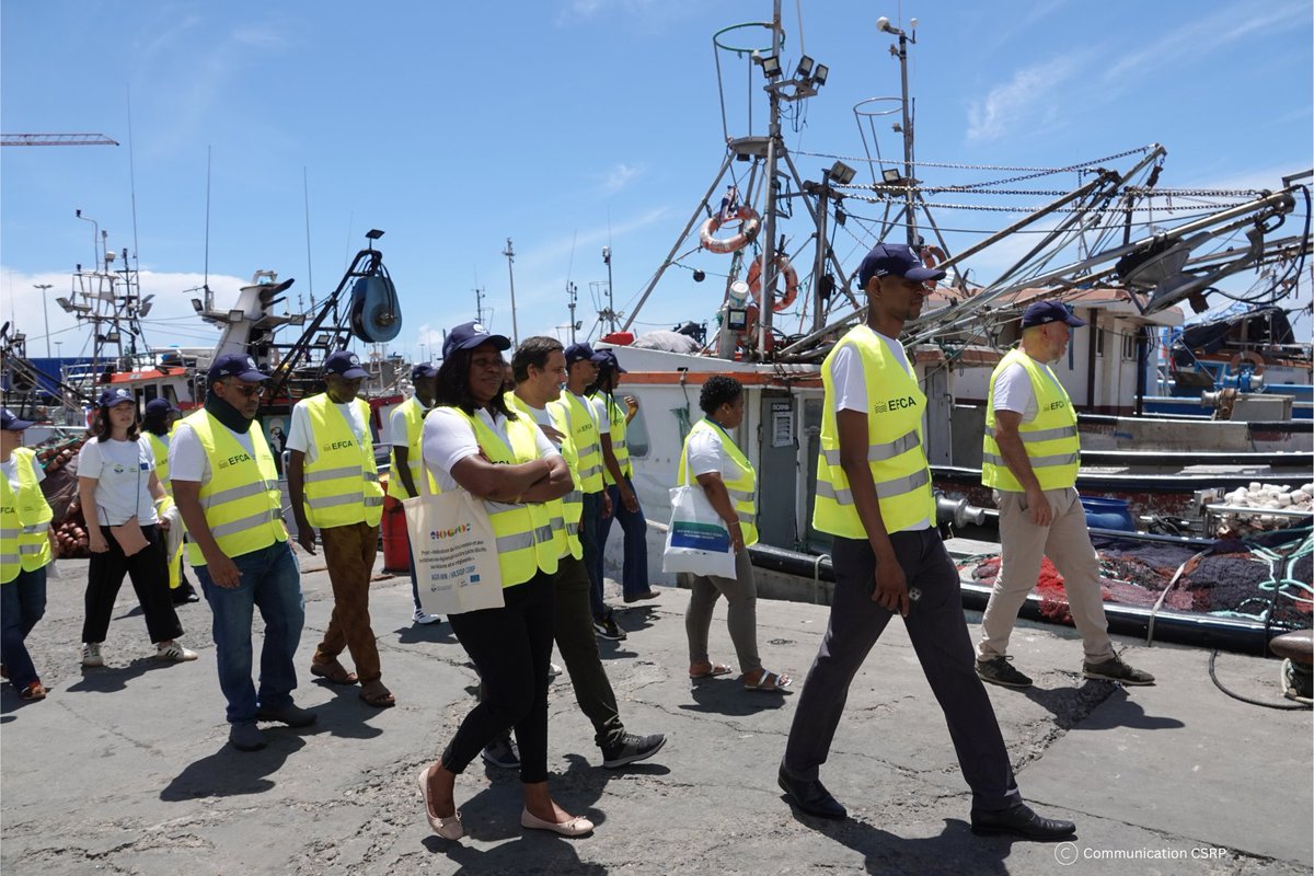EFCA_EU's tweet photo. 🇨🇻 #FisheriesControl authorities from @CSRP2016  member countries are meeting in Praia this week under #WASOP to strengthen regional cooperation on monitoring, control &amp; surveillance.

As a WASOP partner, EFCA shares expertise on joint operations, training and risk assessment.🎣 https://t.co/nkxVaSqPLE