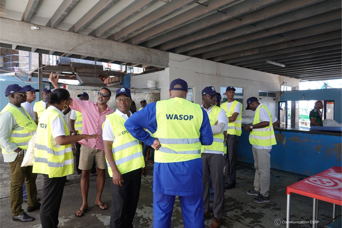 EFCA_EU's tweet photo. 🇨🇻 #FisheriesControl authorities from @CSRP2016  member countries are meeting in Praia this week under #WASOP to strengthen regional cooperation on monitoring, control &amp; surveillance.

As a WASOP partner, EFCA shares expertise on joint operations, training and risk assessment.🎣 https://t.co/nkxVaSqPLE