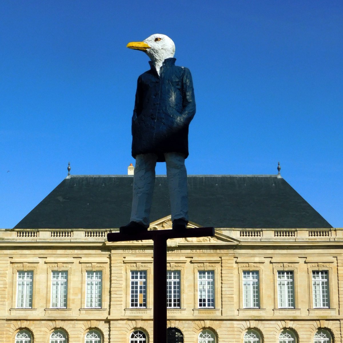 Kratos_Px's tweet photo. Monsieur Goéland
Place du Vieux Marché, Le Havre https://t.co/3TEYXkHotS
