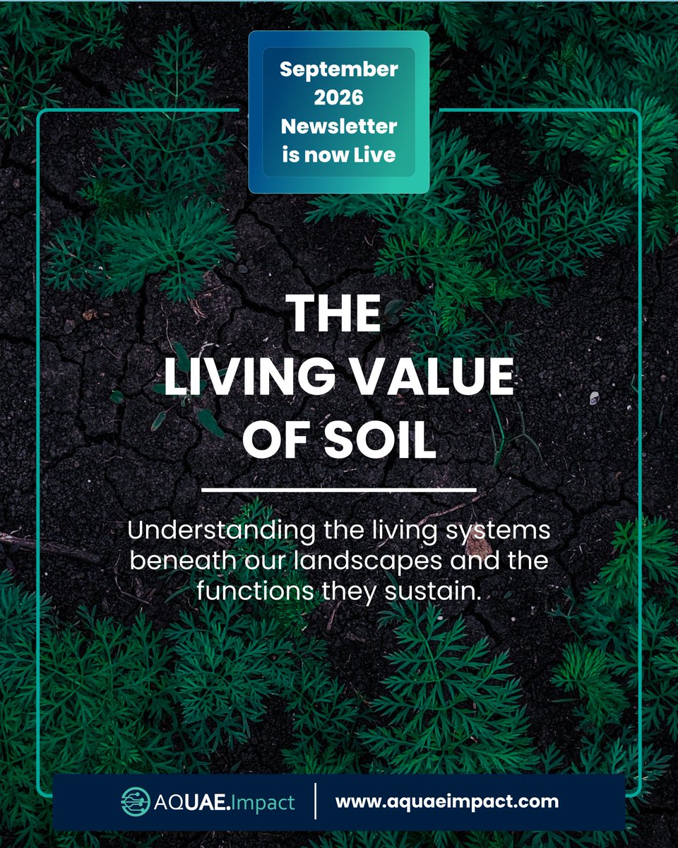 Aquaeimpactorg's tweet photo. The September issue of our newsletter is now live. Explore the living value of soil, its role in ecosystem resilience and how AQUAE Labs Ecosystems Conservation Index helps measure interconnected ecosystem functions.
#AQUAE #ALCI https://t.co/LiWh5LQ0uf